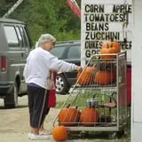 Applewald Farm photo