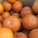 Applewald Farm photo