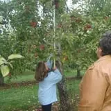 Applewald Farm photo