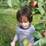 Applewald Farm photo