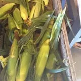 Applewald Farm photo