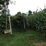 Applewald Farm photo