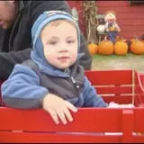 Applewald Farm photo
