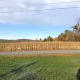 Applewald Farm photo