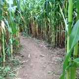 Applewald Farm photo