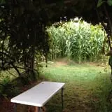 Applewald Farm photo