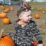 Black Creek Farms Pumpkin Patch photo