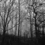Ranch of Terror