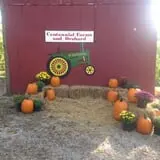 Centennial Farms Pumpkin Fantasyland photo