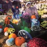 Centennial Farms Pumpkin Fantasyland photo