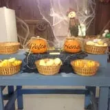 Centennial Farms Pumpkin Fantasyland photo