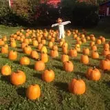Centennial Farms Pumpkin Fantasyland photo