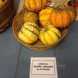 Centennial Farms Pumpkin Fantasyland photo