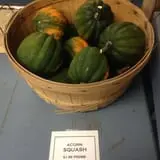 Centennial Farms Pumpkin Fantasyland photo