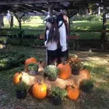 Centennial Farms Pumpkin Fantasyland photo