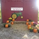 Centennial Farms Pumpkin Fantasyland photo