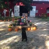 Centennial Farms Pumpkin Fantasyland photo