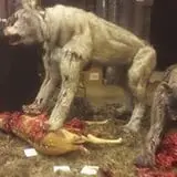 Haunted Fort photo
