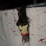 Haunted Fort photo