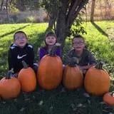 Welch's Pumpkin Patch photo