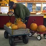 Welch's Pumpkin Patch photo