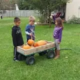 Welch's Pumpkin Patch photo