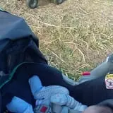 Welch's Pumpkin Patch photo