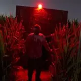 Terror in the Corn photo