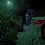 Terror in the Corn