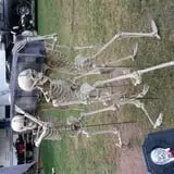 Haunted Shack & Hayride photo