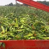 Fulton Farms photo