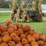 Fulton Farms photo