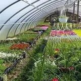 Fulton Farms photo