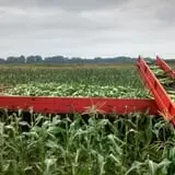 Fulton Farms photo