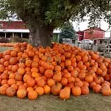 Fulton Farms photo