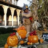 Fulton Farms photo