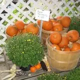 Fulton Farms photo