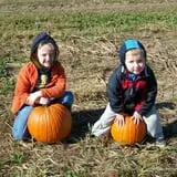 Fulton Farms photo