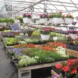 Fulton Farms photo