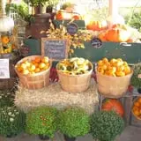 Fulton Farms photo