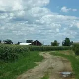 Fulton Farms photo
