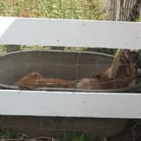 Fulton Farms photo
