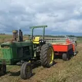 Fulton Farms photo