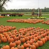 Fulton Farms photo
