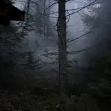 Wander in Terror at the Desert of Maine photo