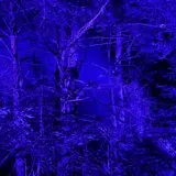 Wander in Terror at the Desert of Maine photo