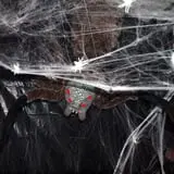 Derek's Haunt photo