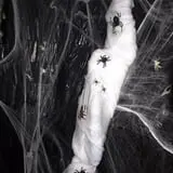 Derek's Haunt photo