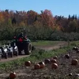 Helene's Hilltop Orchard photo