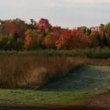 Helene's Hilltop Orchard photo